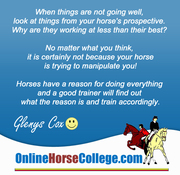 Become A Horse Riding Instructor