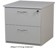 Buy Quality Rel 2 Draw File Cabinet [Custom Office Furniture]
