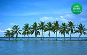 Kerala Tour Packages by Country Travel Mart