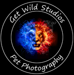 Get Wild Studios