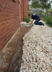 Termite Treatment Ipswich