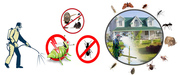 Delivering extra ordinary pest control & building services In QLD