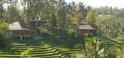 Nature Luxury Resorts and Hotels in Bali,  Indonesia
