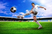 Create Fantasy Sports App Like Dream11