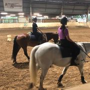 Horse Riding Lessons Brisbane