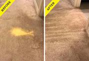  Avail finest carpet spot dyeing service
