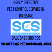 Highly Effective Pest Control Service in Brisbane