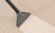 Amazing Carpet Cleaning Company