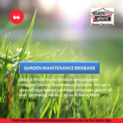 Best Garden Maintenance Service in Brisbane