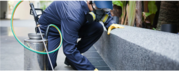 Who is the Best Local Pest Control Service Provider in Brisbane?