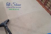 Best Carpet Cleaners in Brisbane | Shine Carpet & Pest Services
