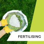 Fox Mowing QLD: Best Lawn & Garden Fertilising Services