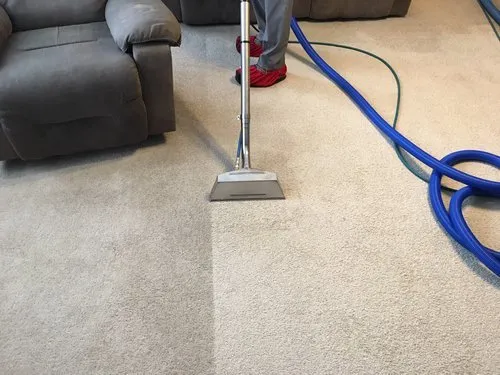 Experience the Best Carpet Cleaning Services in Logan