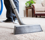 Refresh Your Home with Amazing Carpet Cleaning & Pest Control Services