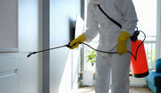 Effective Pest Control in North Brisbane