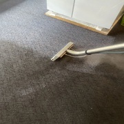 Your Local Carpet Cleaner in Pimpama