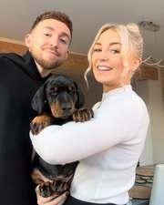 Blue Merle Dobermann Pinscher.