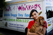 Tails and Whiskers Your Mobile Dog and Cat Day Spa!